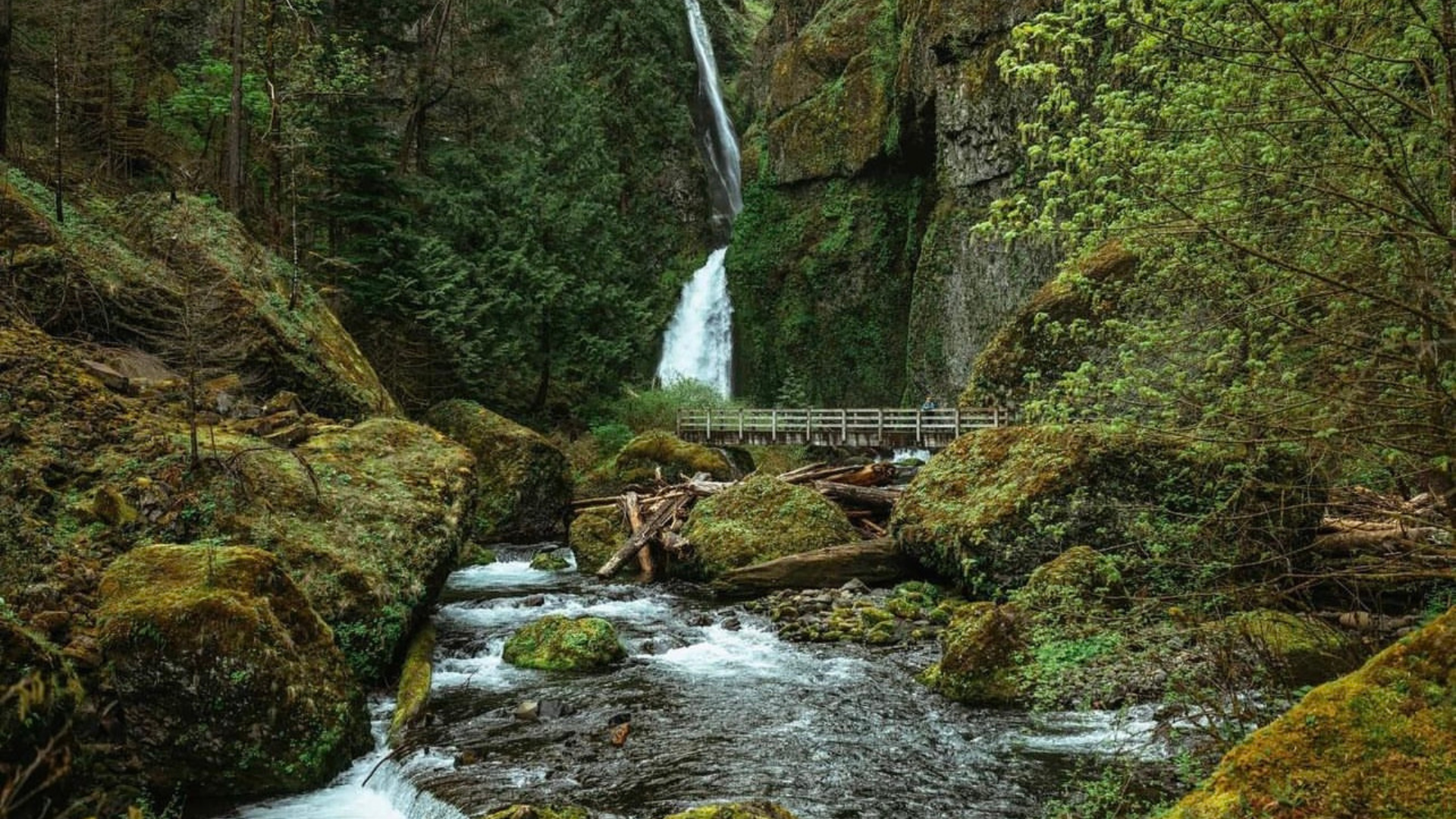 Hot Springs in Washington